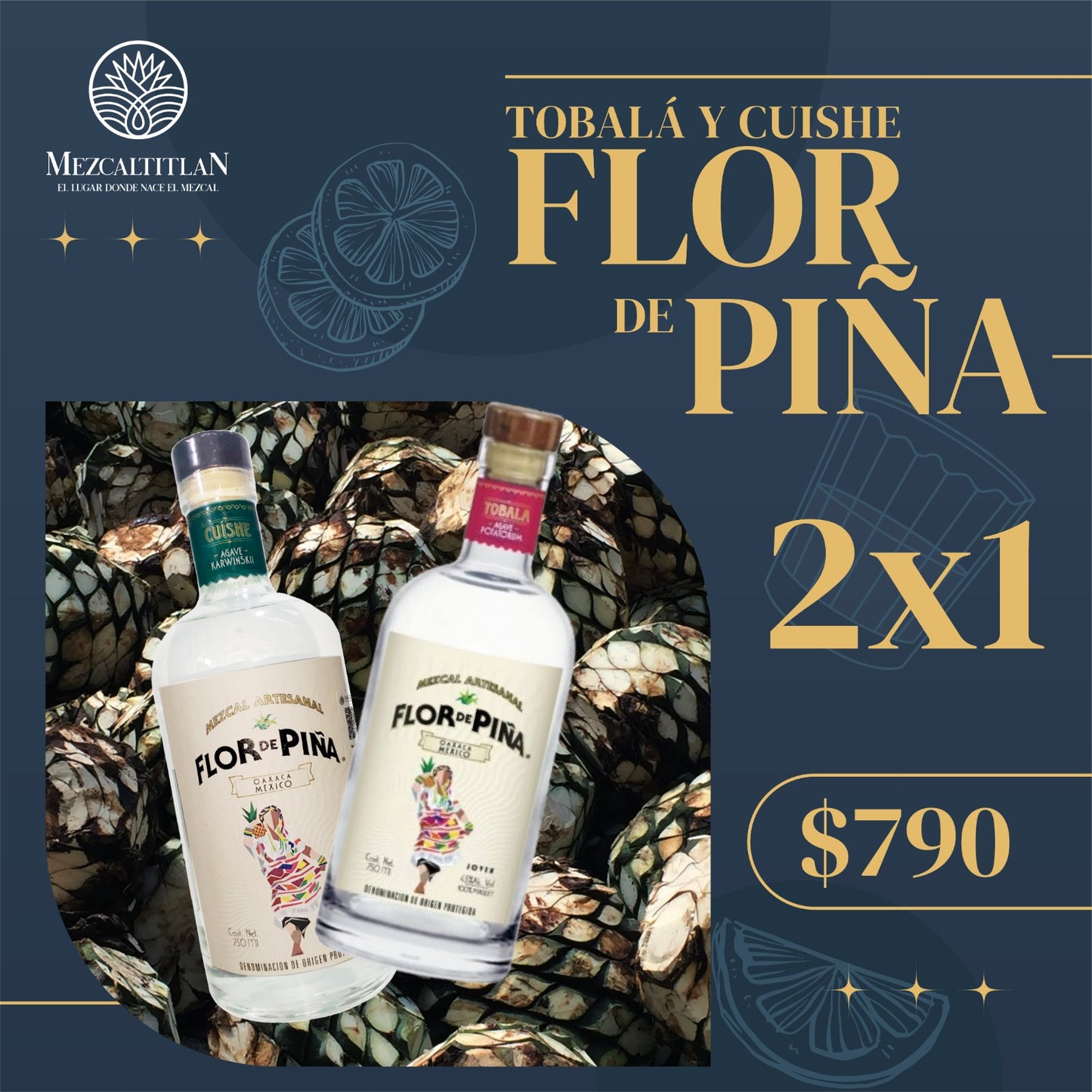 Promo Flor de Piña Silvestres